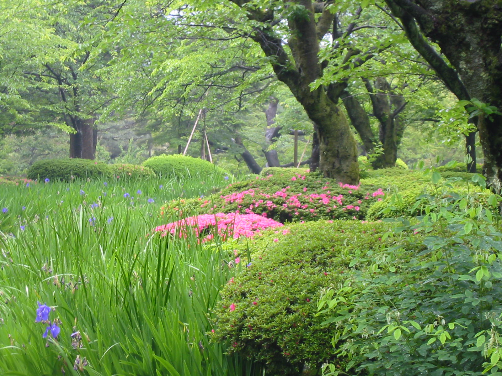 Kenrokuen Park in Kanazawa by Ulrich Seidl