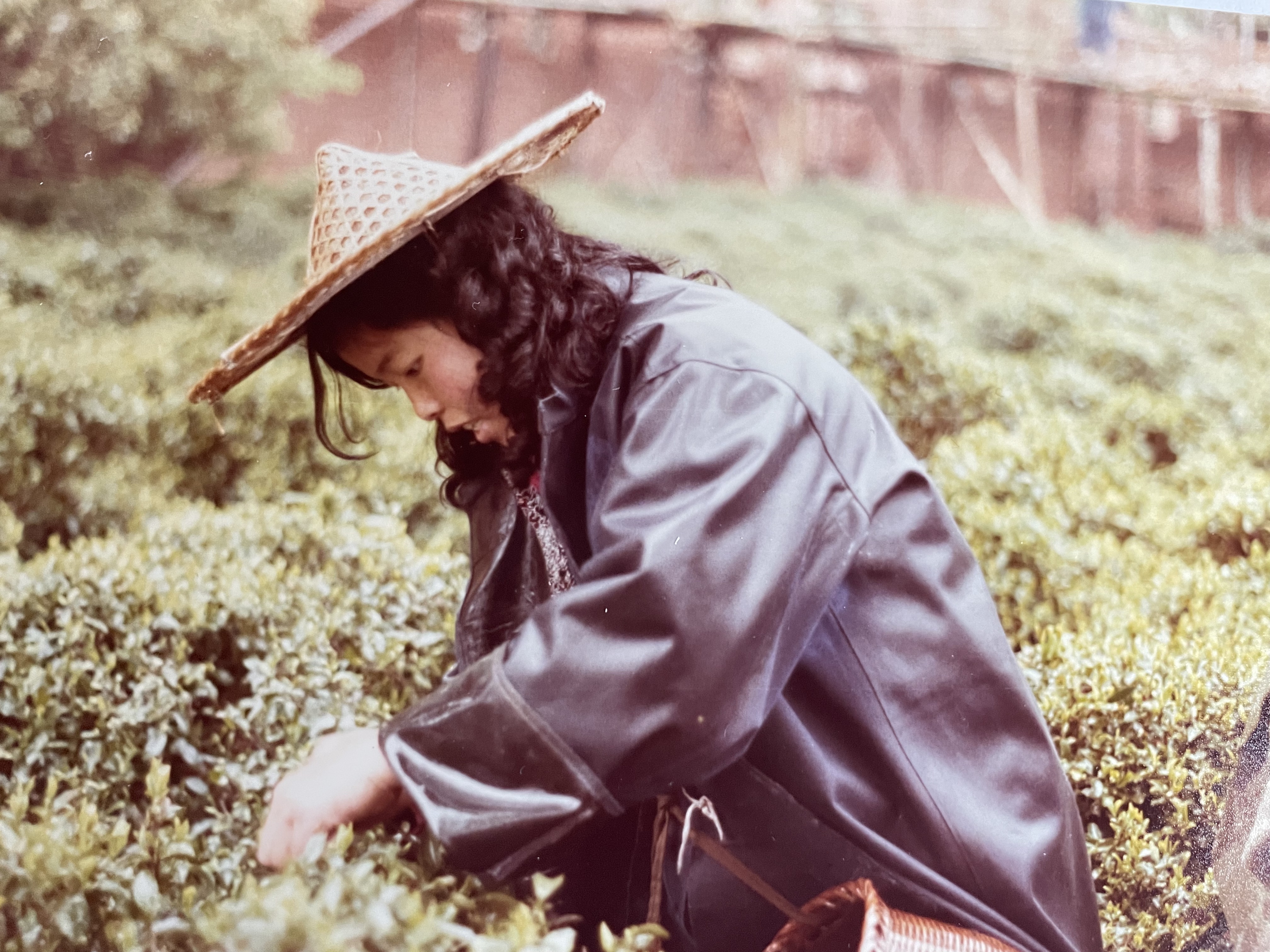 Beirut Downtown by Ulrich Seidl